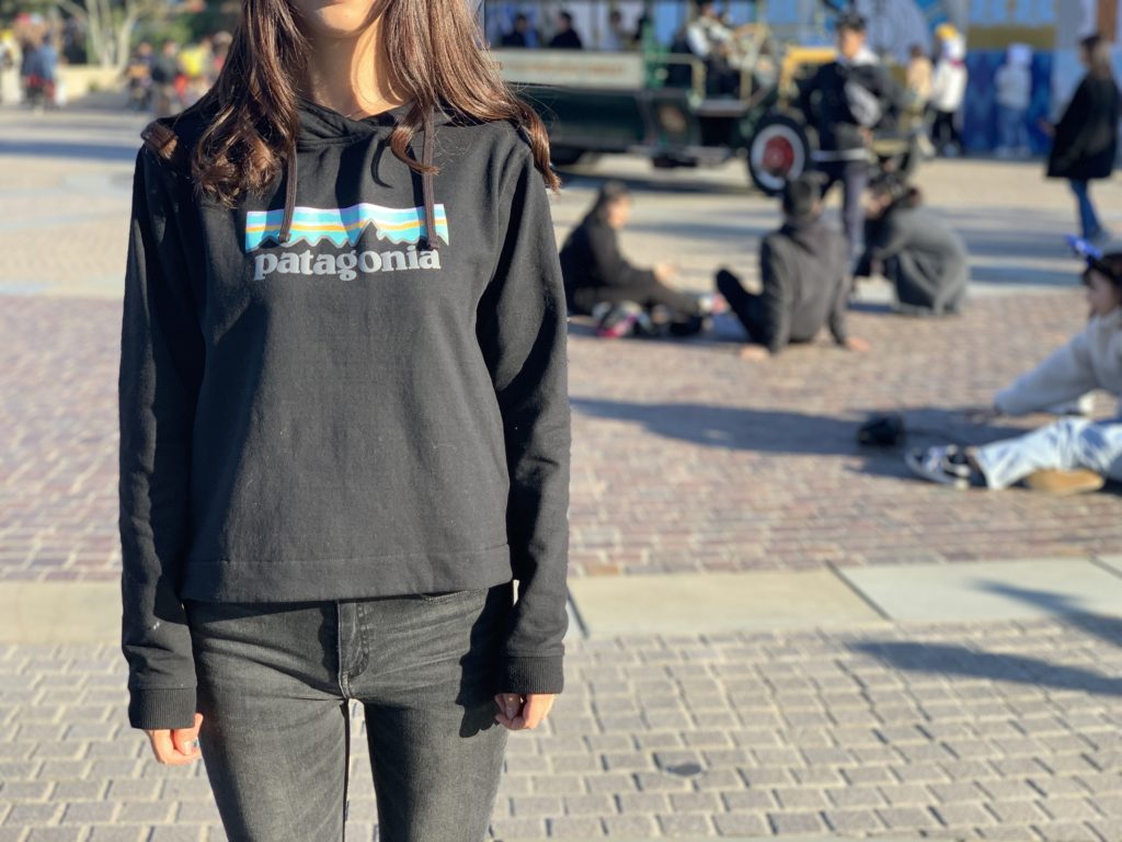 Patagonia ウィメンズのパタゴニアのおすすめパーカー 春におすすめのアイテム サイズ感や商品の説明の紹介 アウトドア女子必見です A Ap Hope This Helps