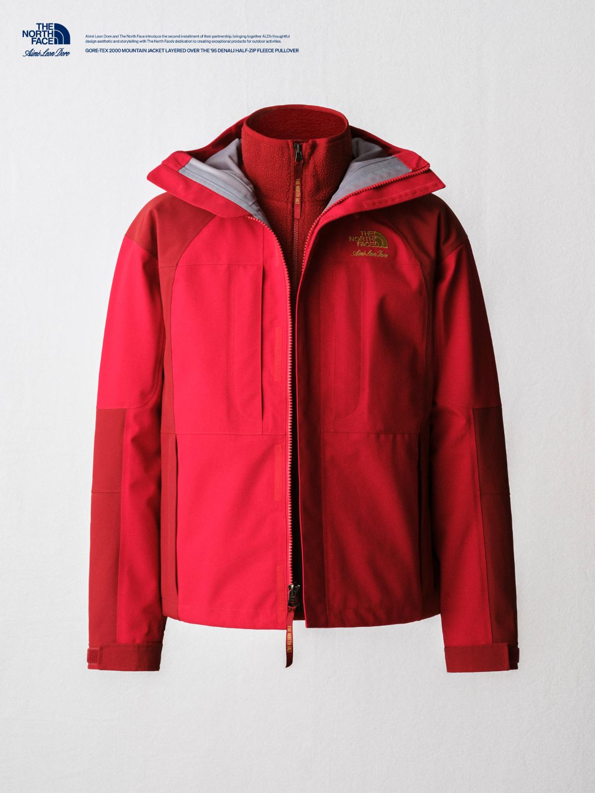 THE NORTH FACE x Aime Leon Dore マウンテンジャケット GORE-TEX 3層